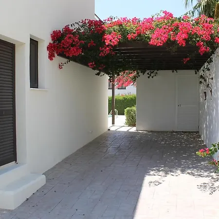 Elsa Mia * Paphos
